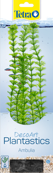 Амбулия L TETRA 30 см