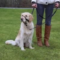 Намордник TRIXIE тренировочный L 31см. 