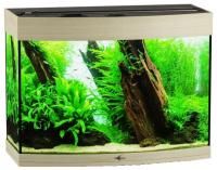 Аквариум Biodesign Панорама 60 