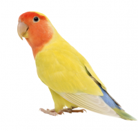 205