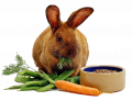 Корма для грызунов